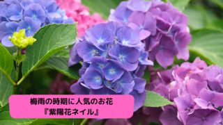 梅雨の時期に人気のお花『紫陽花ネイル』