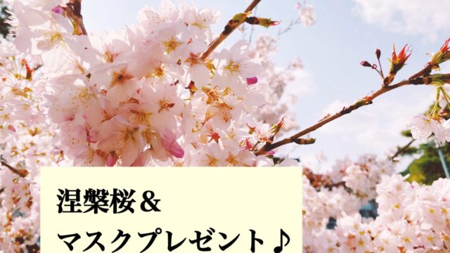 桜を見に＆28日までの『マスク』プレゼントキャンペーン！！