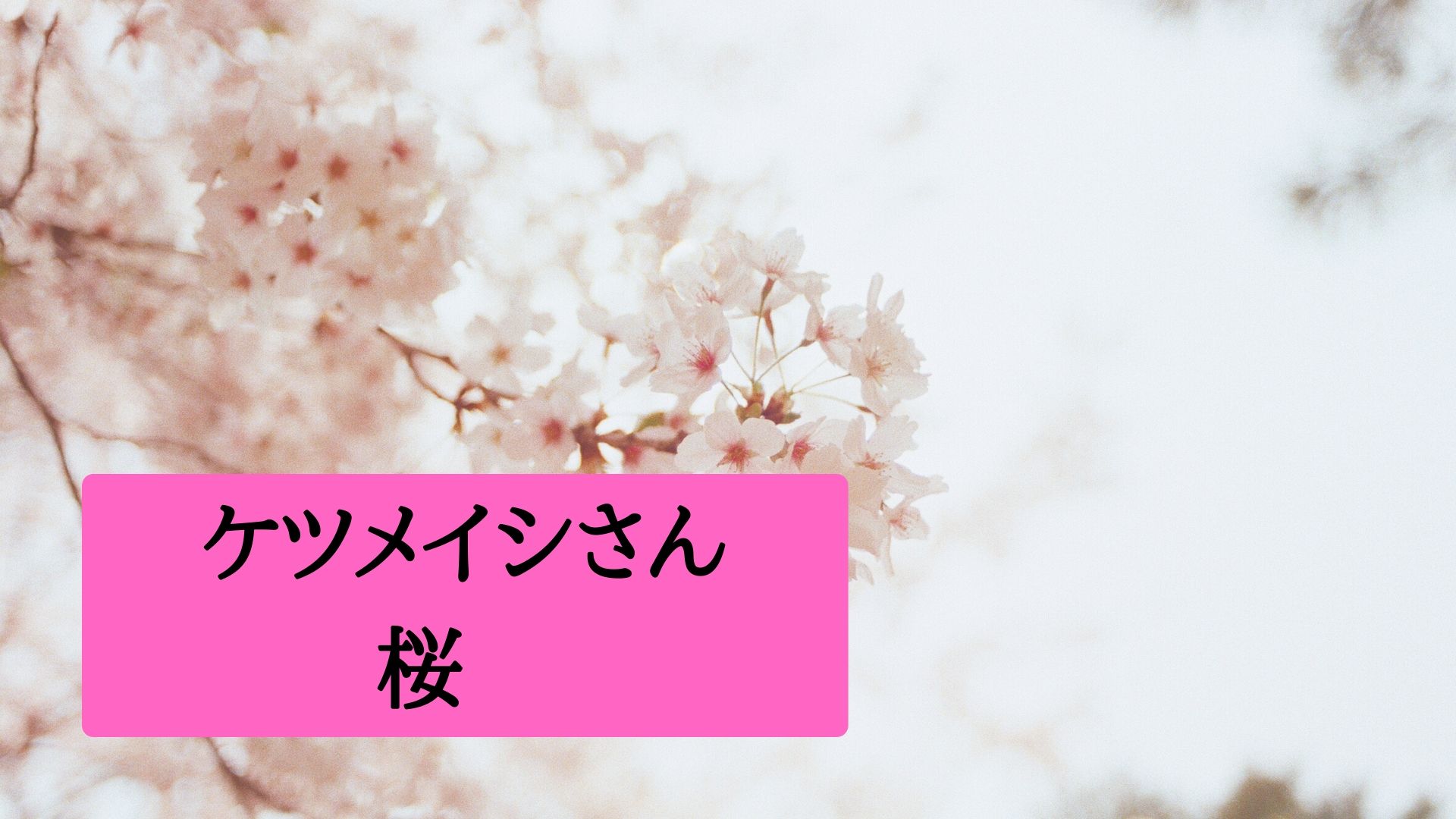 ケツメイシ『桜』