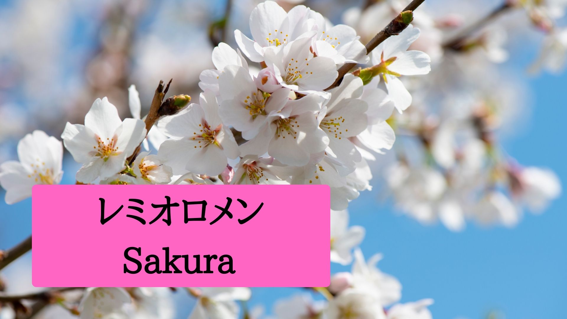 レミオロメン『Sakura』