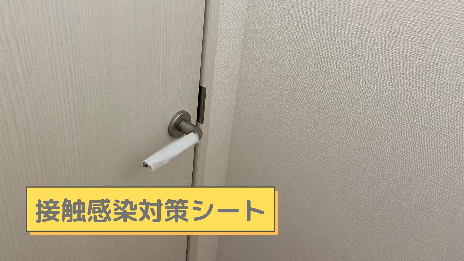 接触感染対策シート