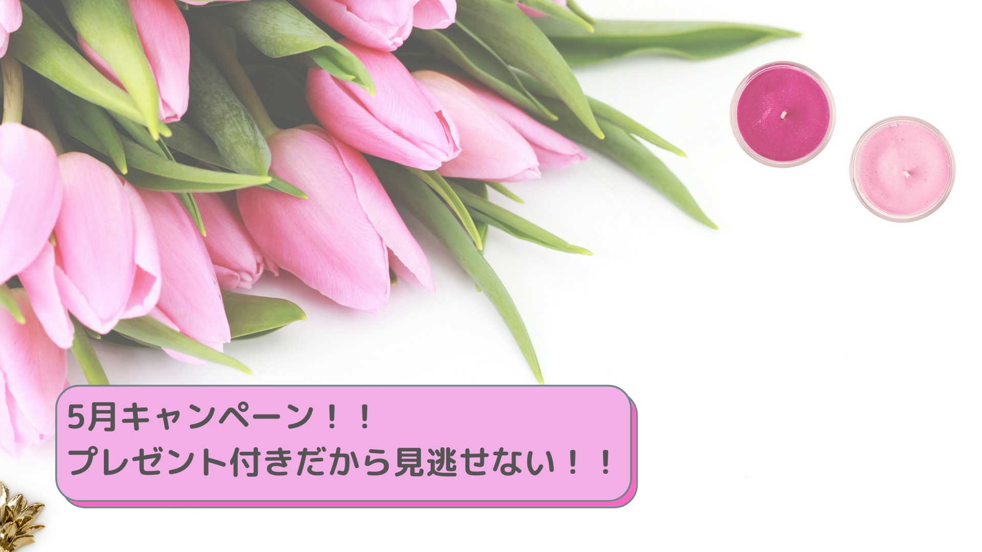 5月キャンペーン！！プレゼント付きだから見逃せない！！