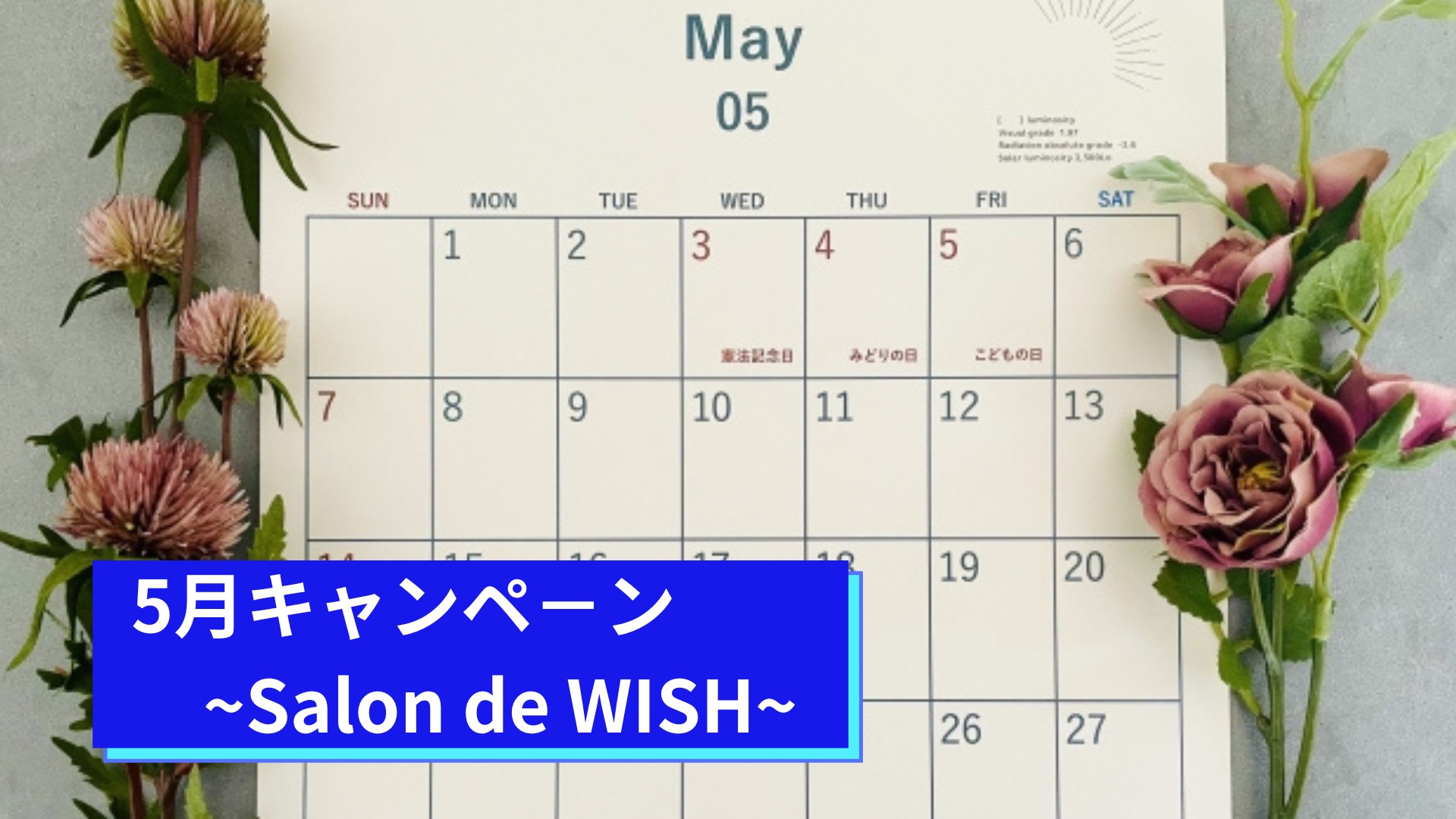 5月キャンペ－ン∼Salon de WISH∼