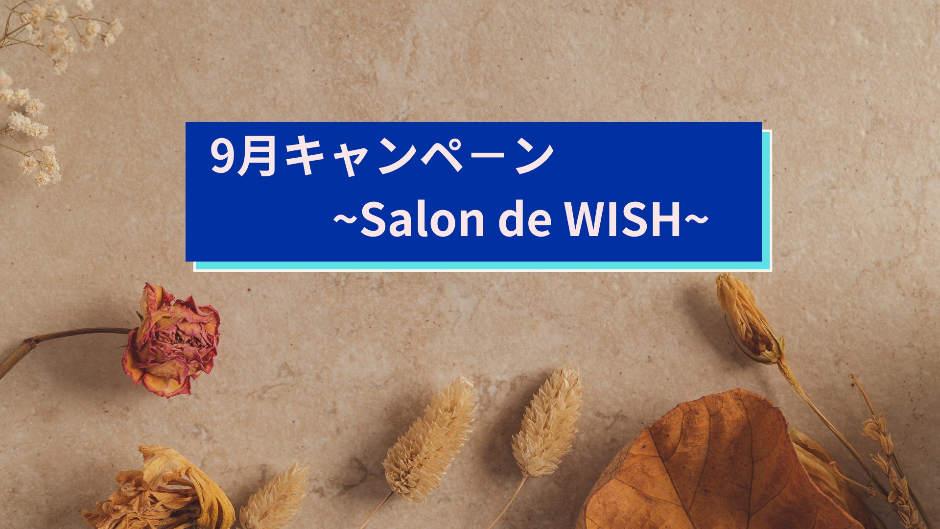 9月キャンペ－ン~Salon de WISH~