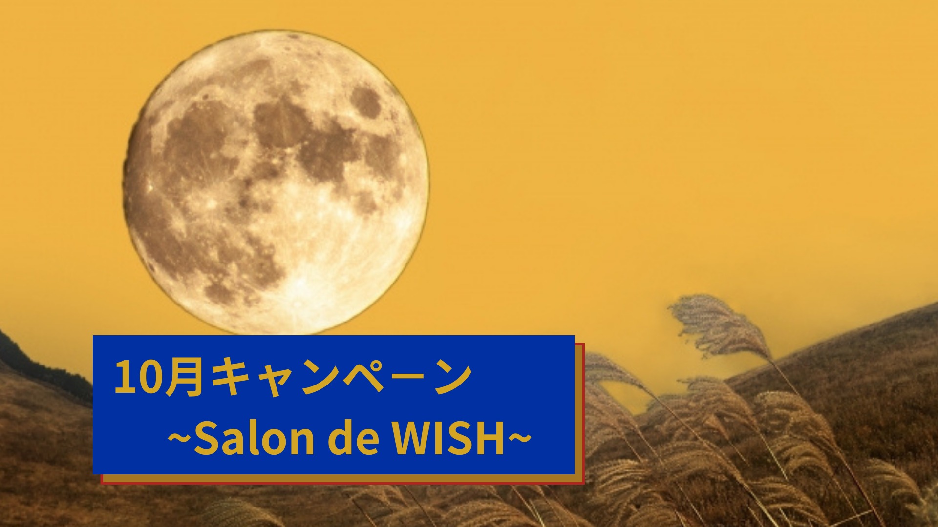 10月キャンペ－ン~Salon de WISH~