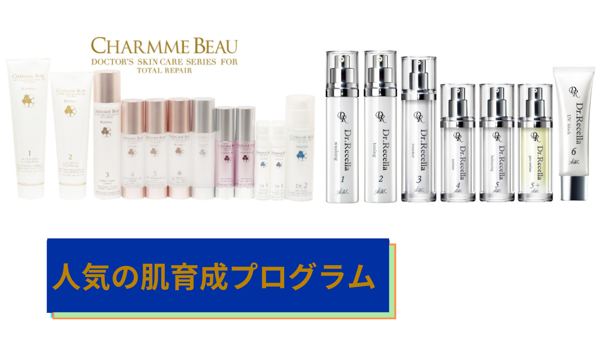 人気の肌育成プログラム