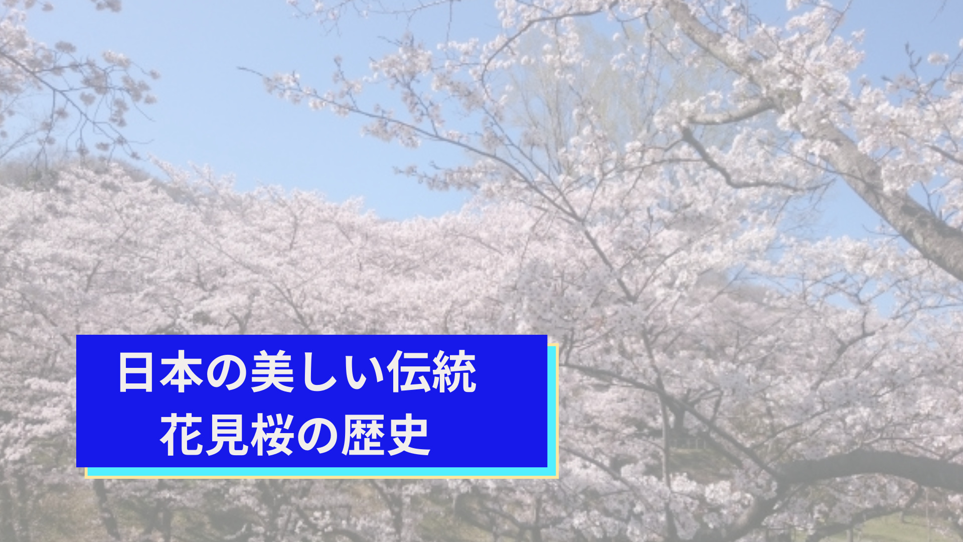 日本の美しい伝統、花見桜の歴史
