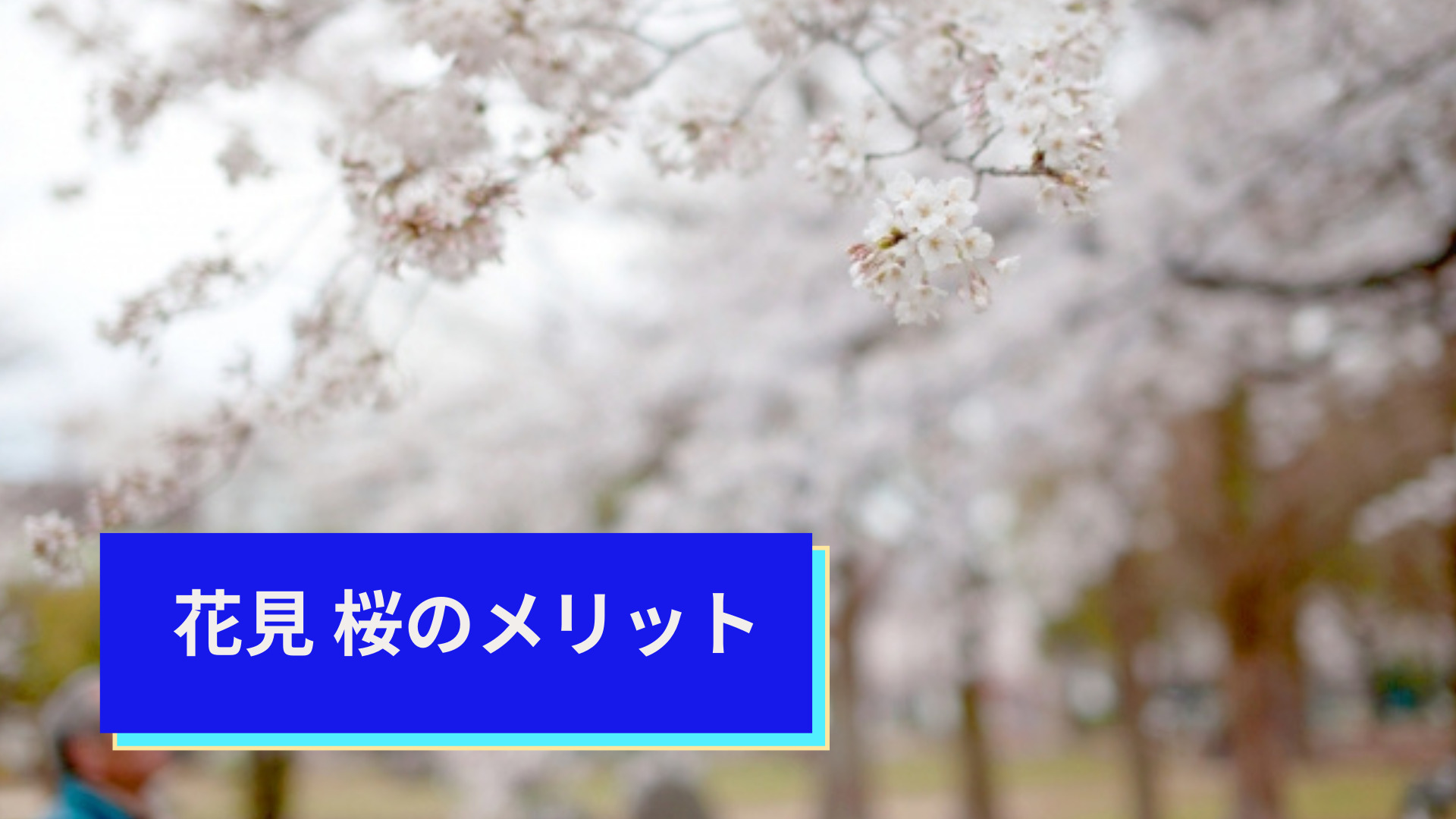 花見 桜のメリット