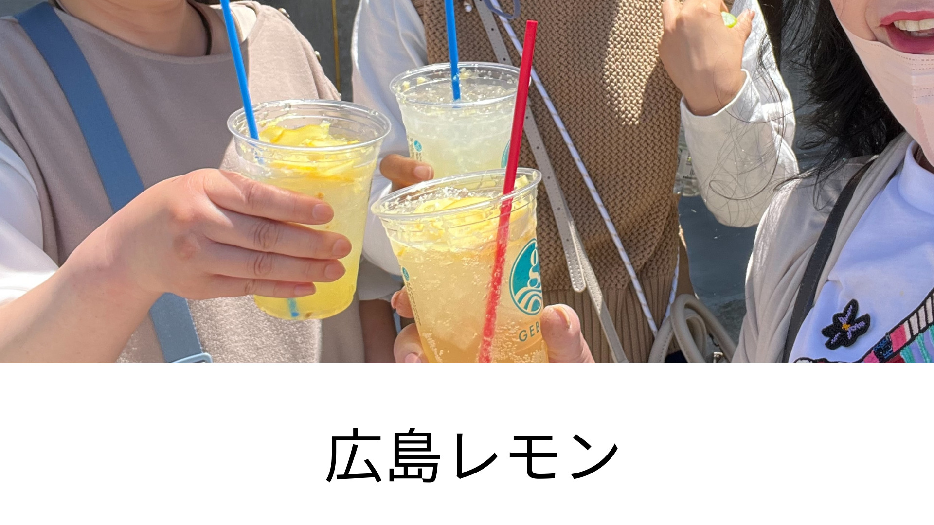 広島 瀬戸内レモン