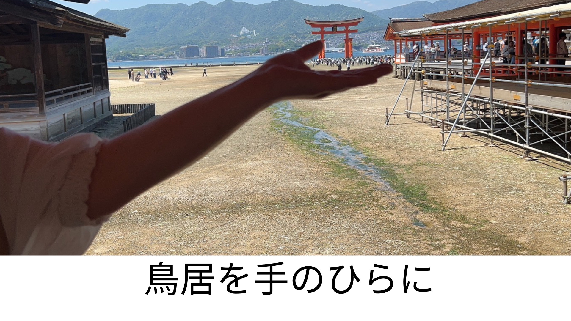 鳥居を手のひらに