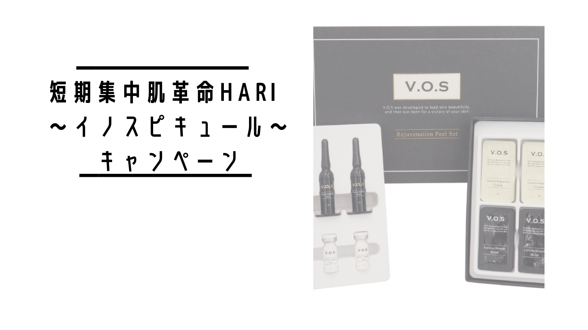 VOS HARIキャンペーン