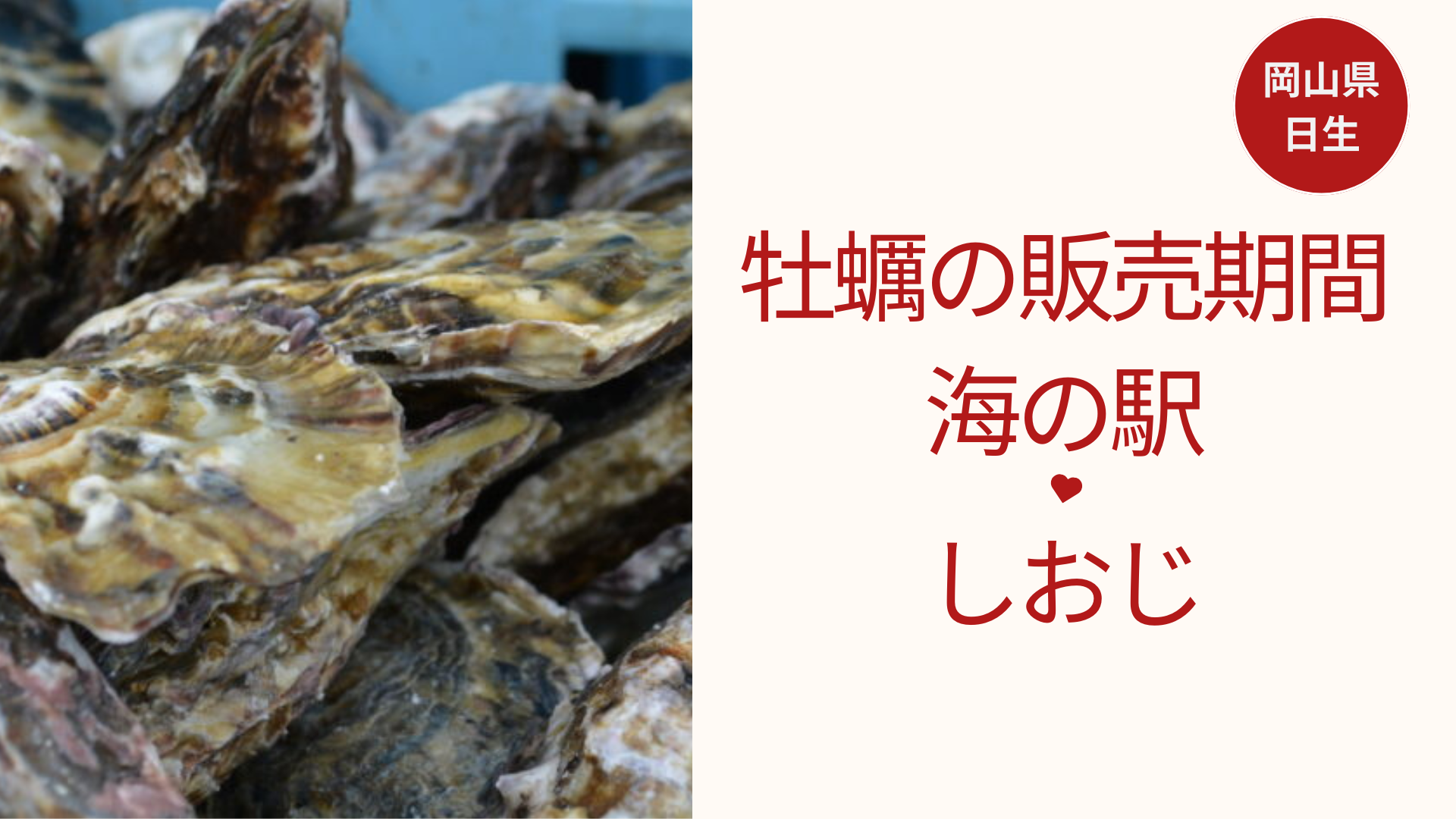 牡蠣の販売期間
