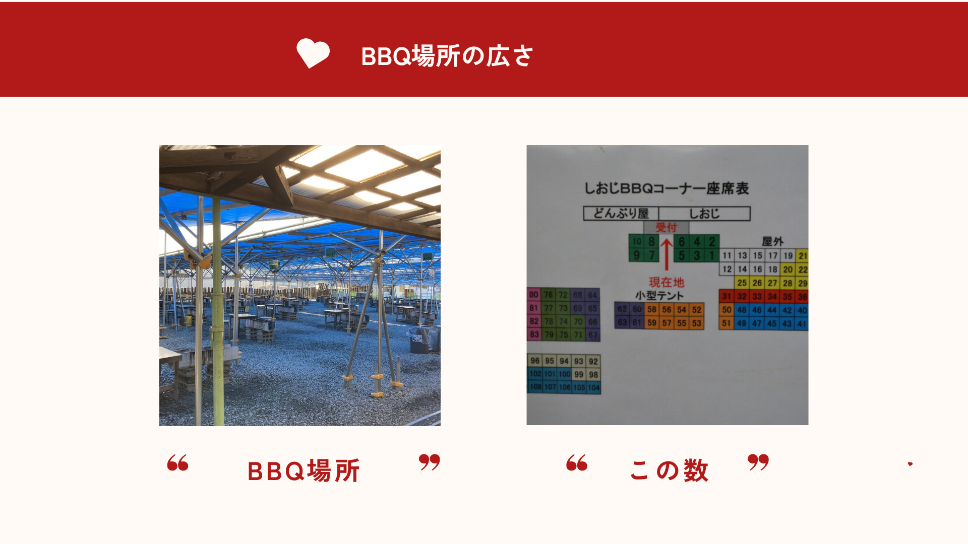 BBQする所の広さと数が凄い