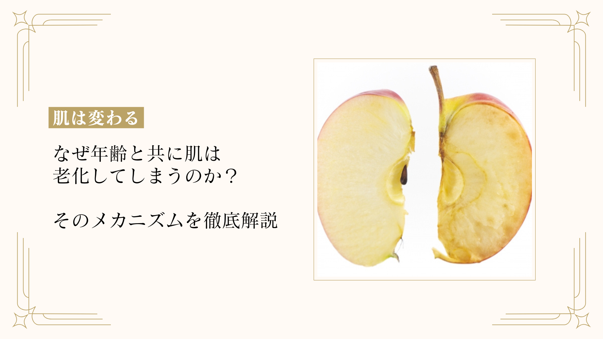 なぜ年齢と共に肌は老化してしまうのか? そのメカニズムを徹底解説