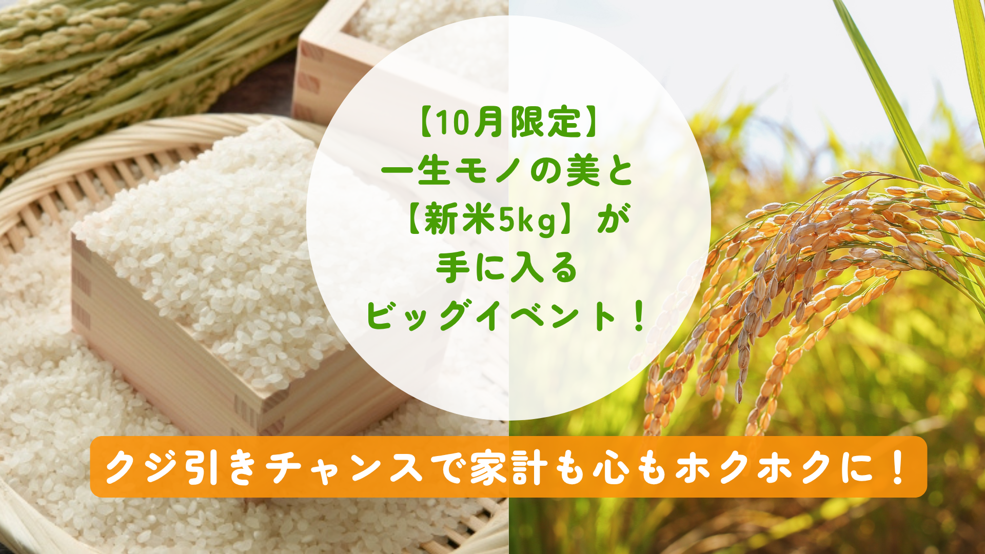【10月限定】一生モノの美と【新米5kg】が手に入るビッグイベント!クジ引きチャンスで家計も心もホクホクに!