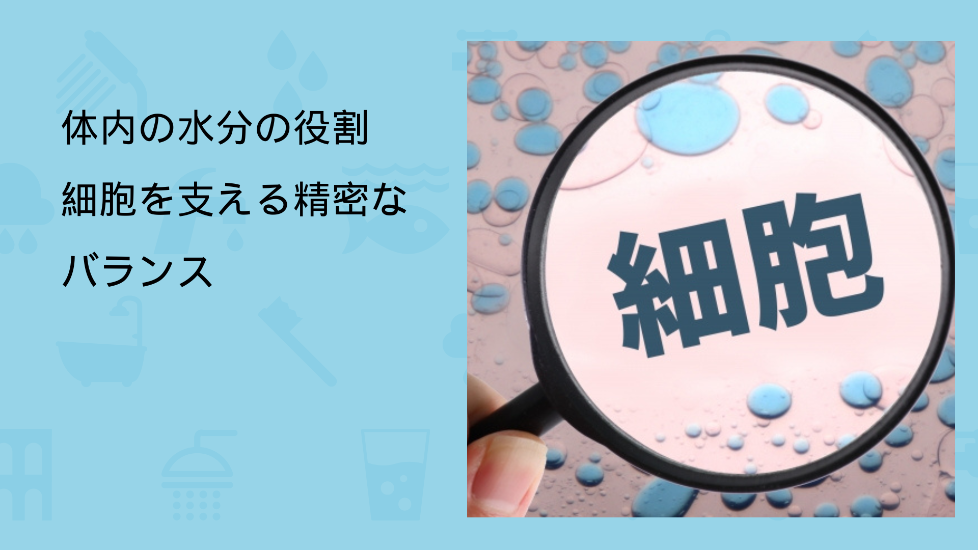 体内の水分の役割:細胞を支える精密なバランス