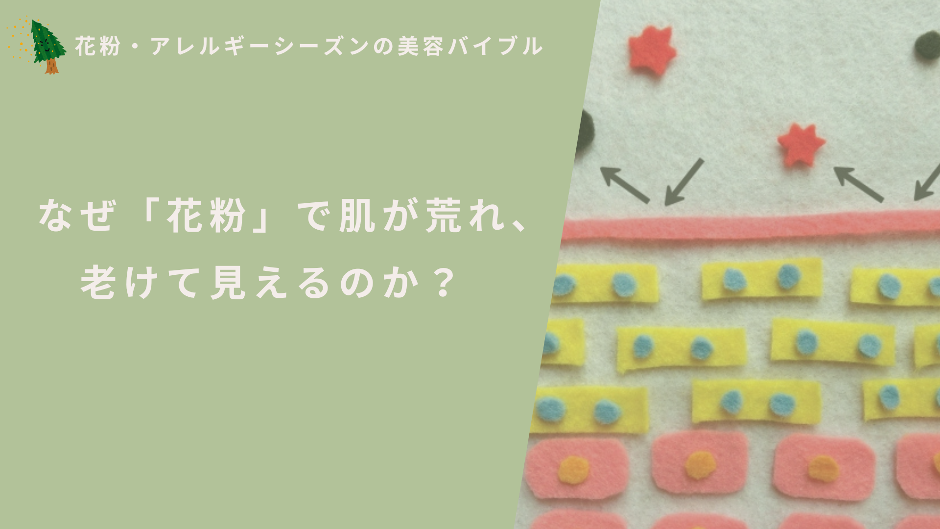 なぜ「花粉」で肌が荒れ、老けて見えるのか?