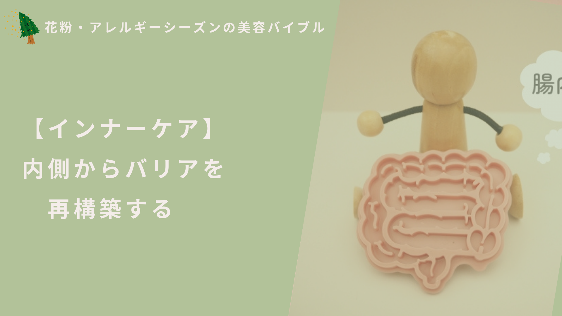 【インナーケア】内側からバリアを再構築する