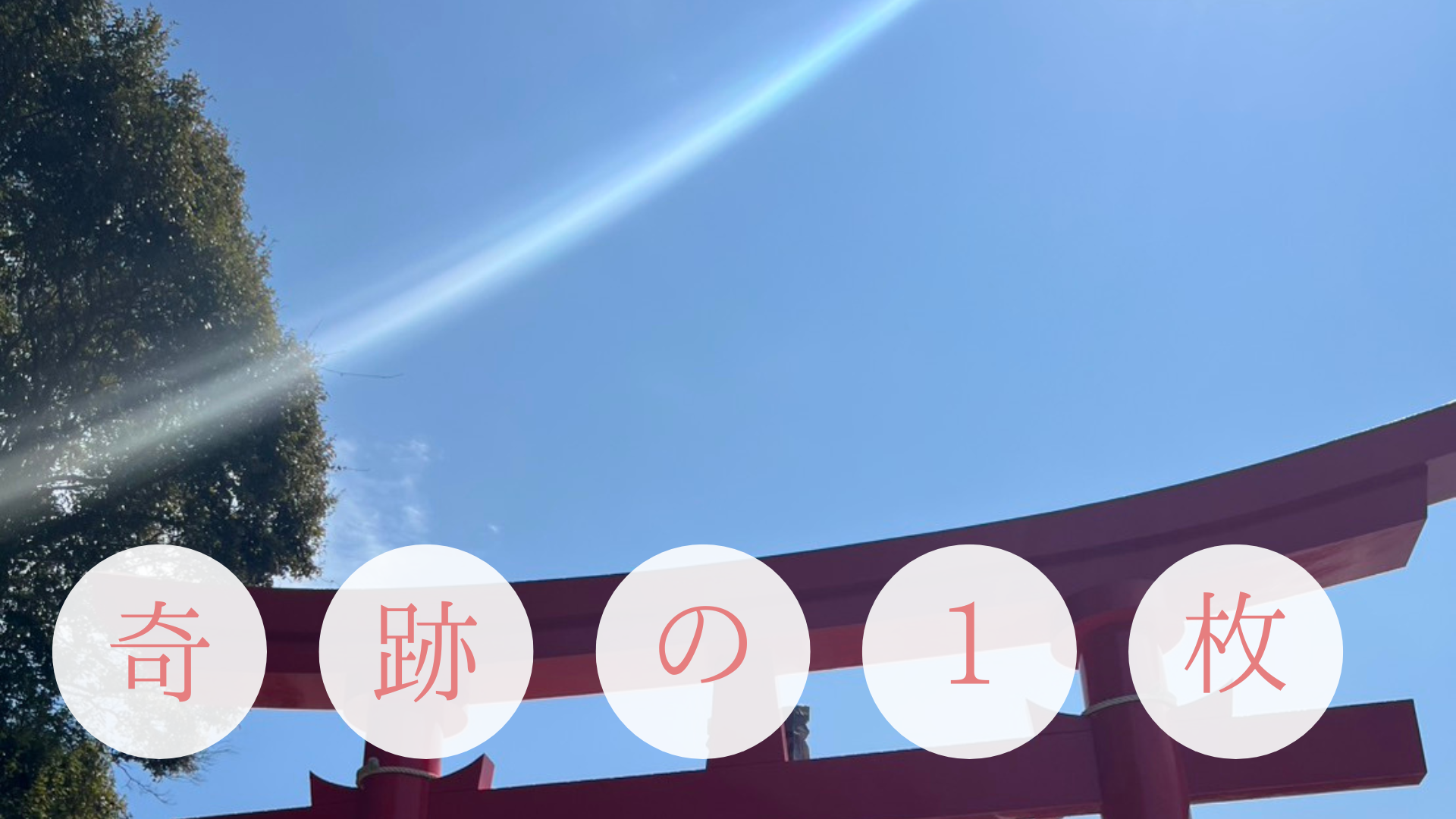 奇跡の1枚：鳥居の向こうから差す光
