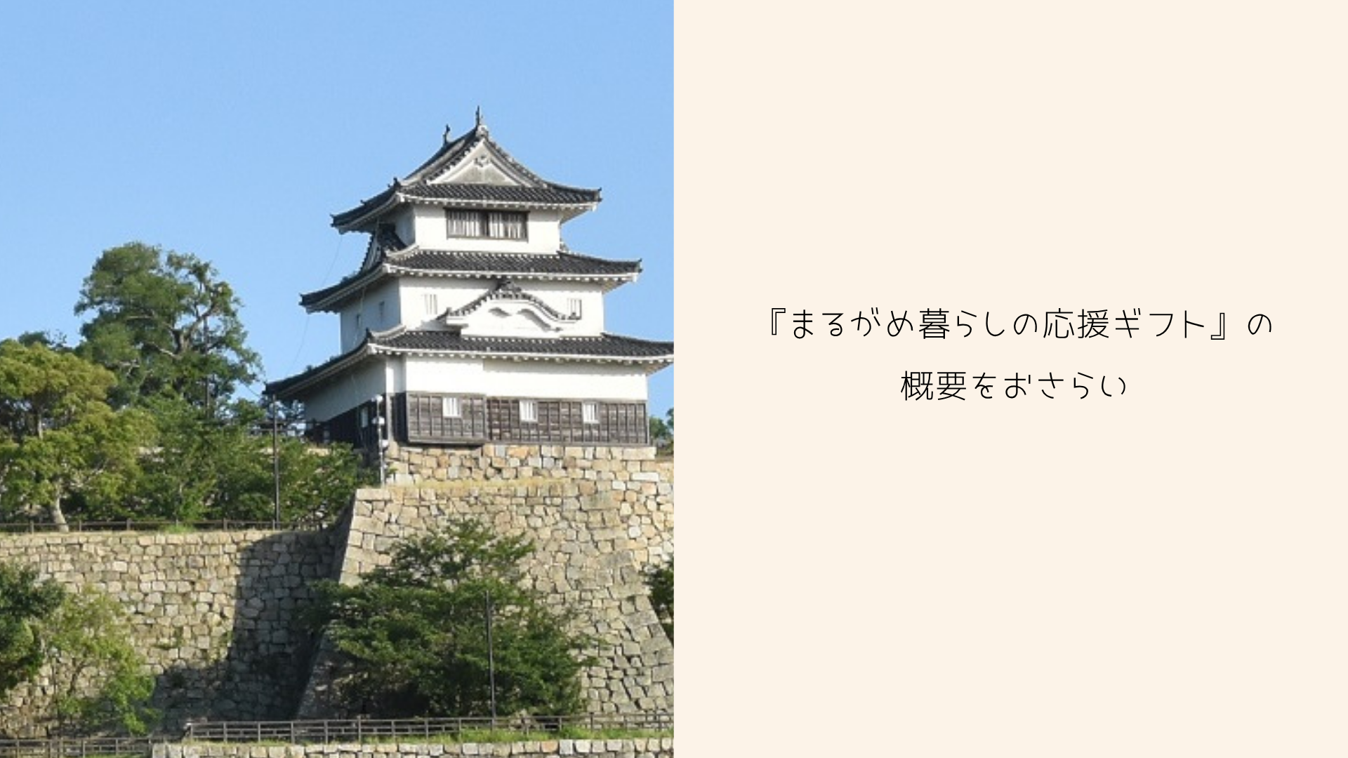 『まるがめ暮らしの応援ギフト』の概要