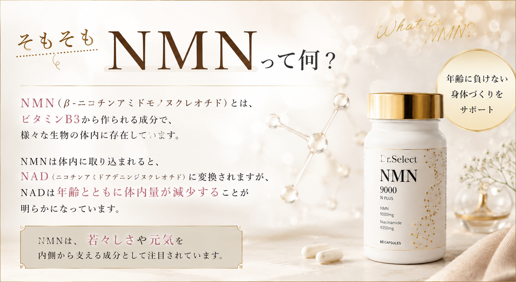 そもそもNMNって何？