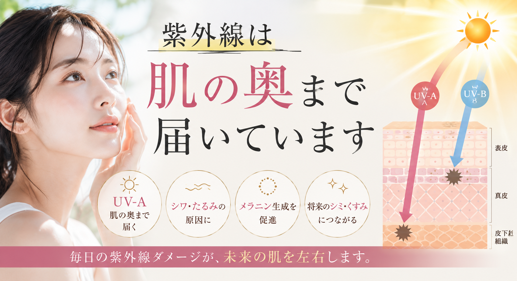 紫外線は肌の奥まで届いています